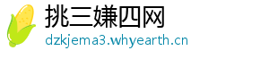 挑三嫌四网